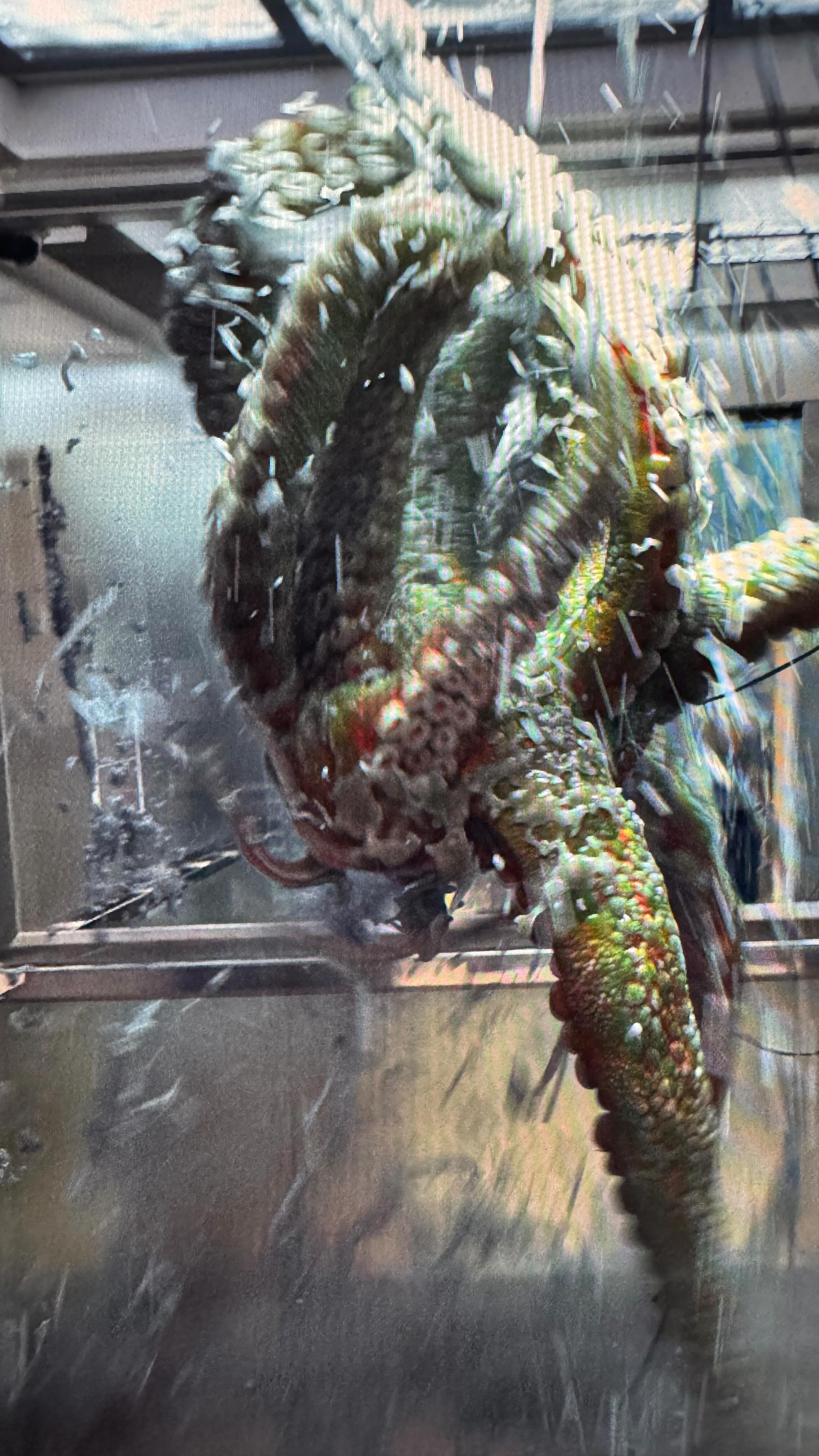 A creature takes over the elevator