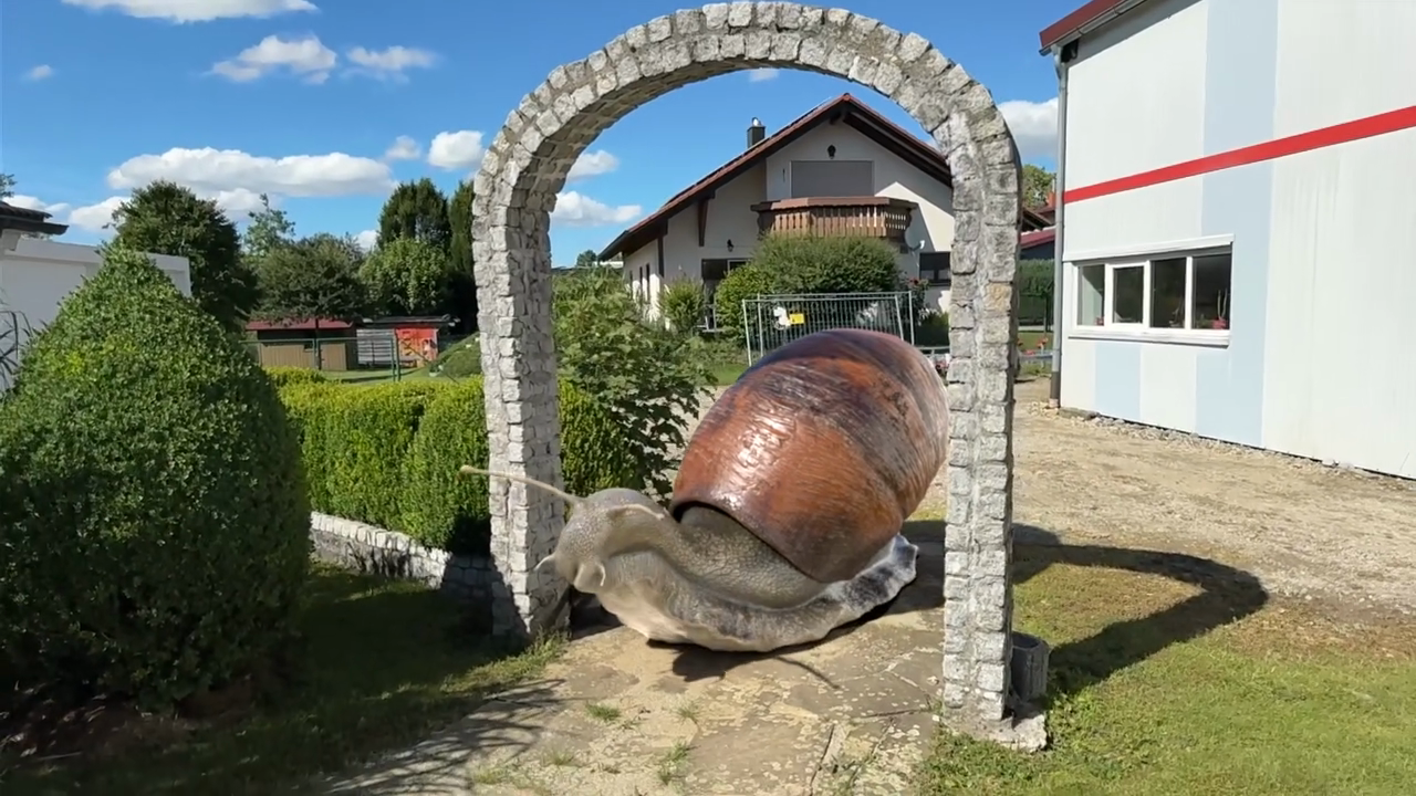 A snail in the garden