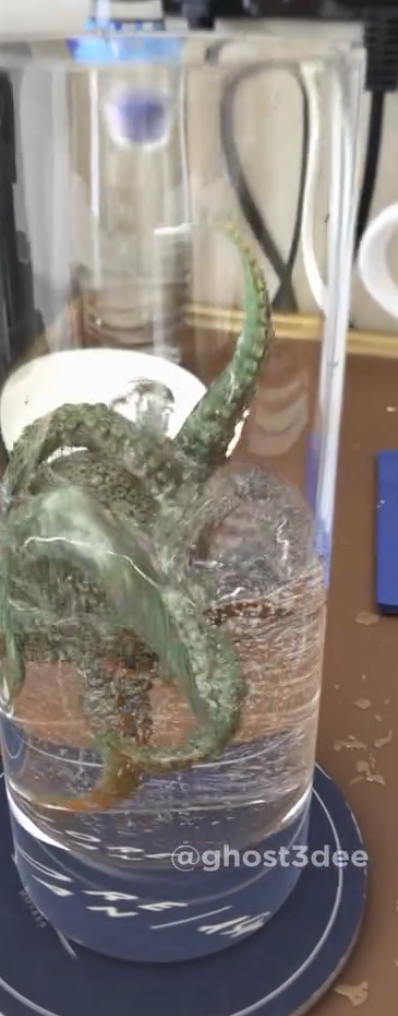 A creature in a glass